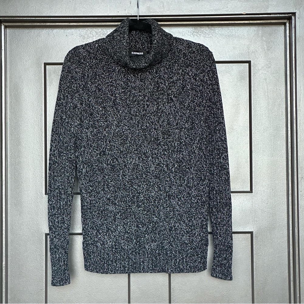 EXPRESS | chunky knit turtleneck